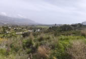 Terreno no urbanizable en venta en la España, Campo-Mijas, ref: TR404766 foto