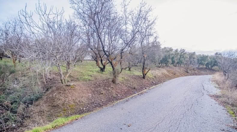 Granada - Pinos Genil - 71m2