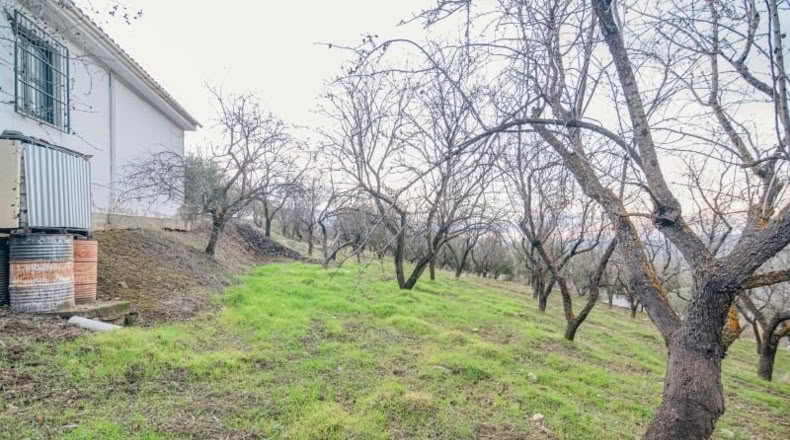 Granada - Pinos Genil - 71m2