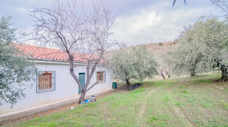 Granada - Pinos Genil - 71m2
