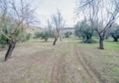 Terreno no urbanizable en venta en la España, Pinos Genil, ref: TR409647 foto
