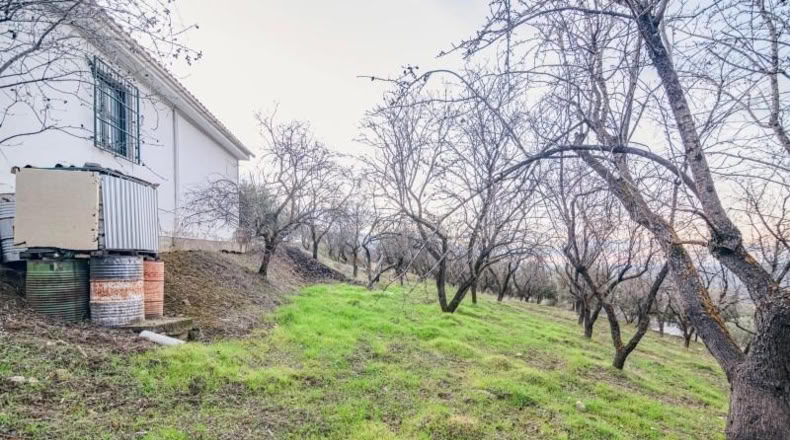 Granada - Pinos Genil - 71m2