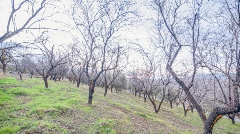 Granada - Pinos Genil - 71m2