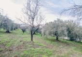Terreno no urbanizable en venta en la España, Pinos Genil, ref: TR409647 foto