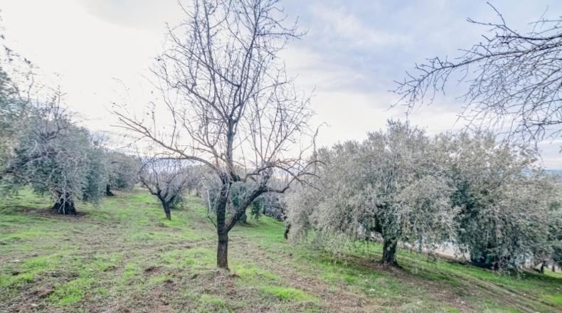 Granada - Pinos Genil - 71m2