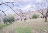 Terreno no urbanizable en venta en la España, Pinos Genil, ref: TR409647 foto