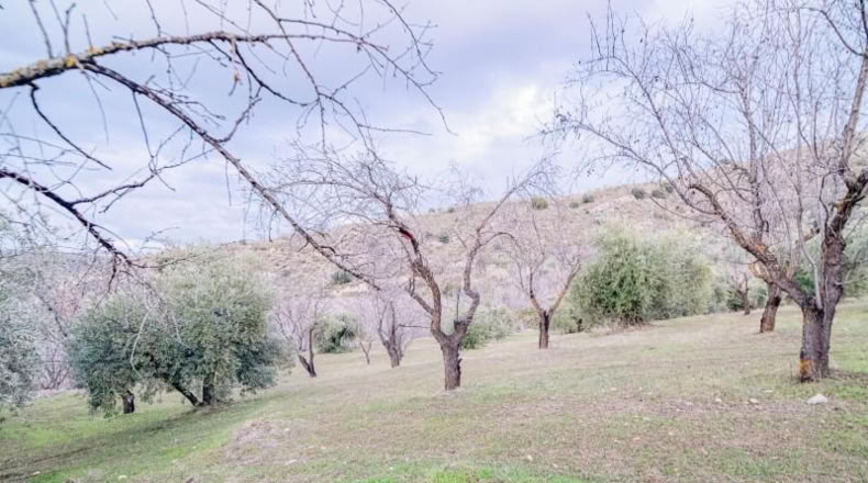 Granada - Pinos Genil - 71m2