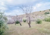 Terreno no urbanizable en venta en la España, Pinos Genil, ref: TR409647 foto