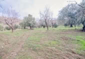 Terreno no urbanizable en venta en la España, Pinos Genil, ref: TR409647 foto