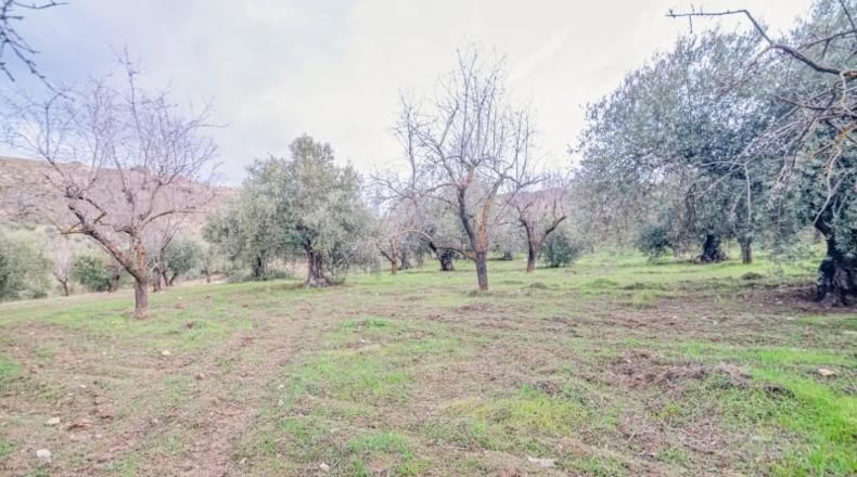 Granada - Pinos Genil - 71m2