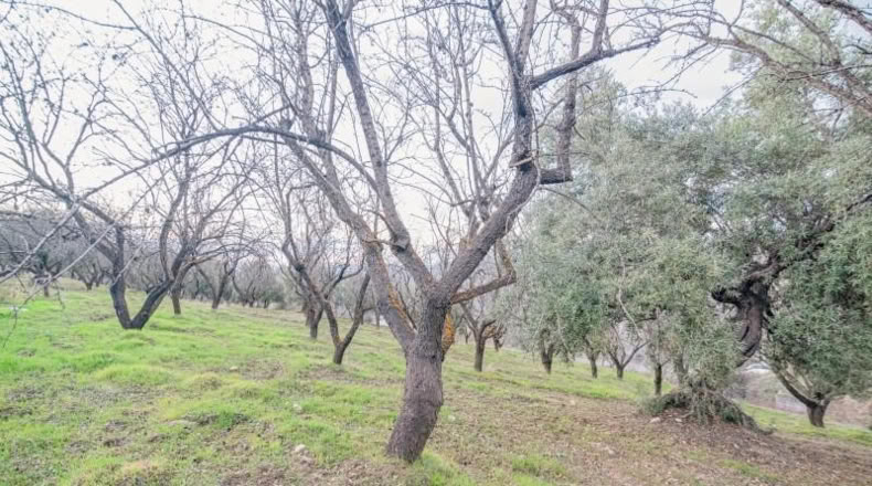 Granada - Pinos Genil - 71m2