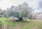 Terreno no urbanizable en venta en la España, Pinos Genil, ref: TR409647 foto