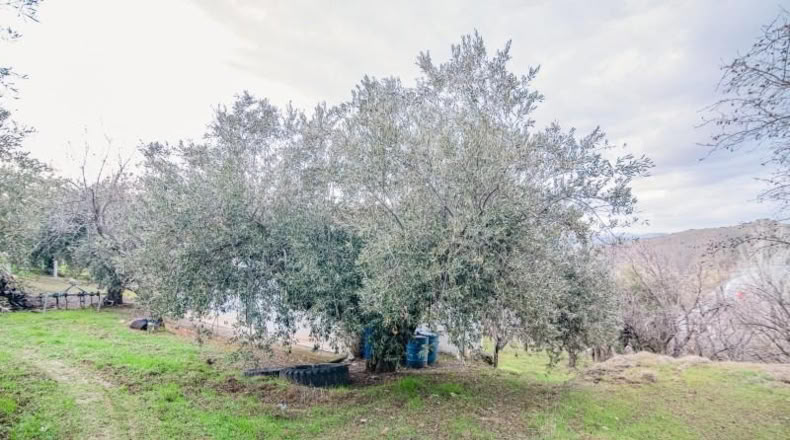 Granada - Pinos Genil - 71m2