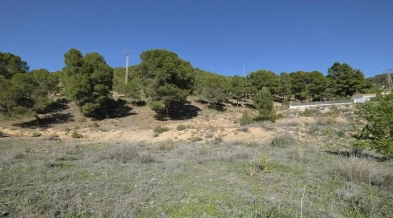 Granada - Padul - 2685m2