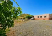 Xalet independent amb terreny en venda a la España, Novelda, ref.: TR409659 foto