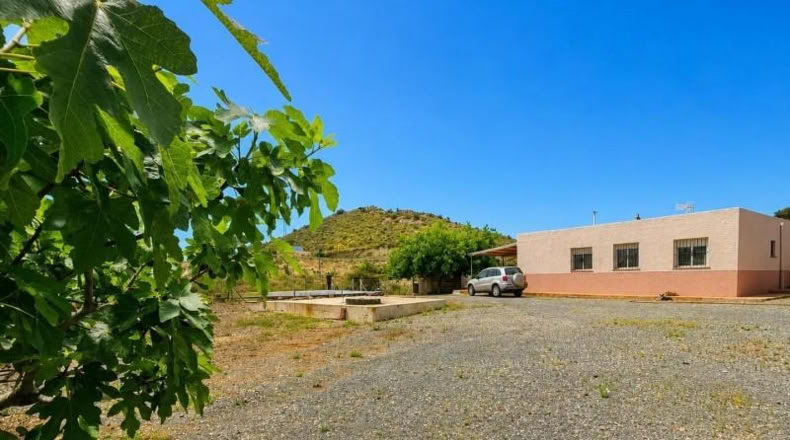 Аликанте - Novelda - 3000m2