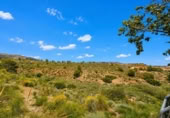 Xalet independent amb terreny en venda a la España, Novelda, ref.: TR409659 foto
