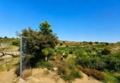 Xalet independent amb terreny en venda a la España, Novelda, ref.: TR409659 foto