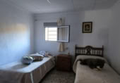 Casa de camp amb terreny en venda a la España, Mazarrón, ref.: TR315283 foto