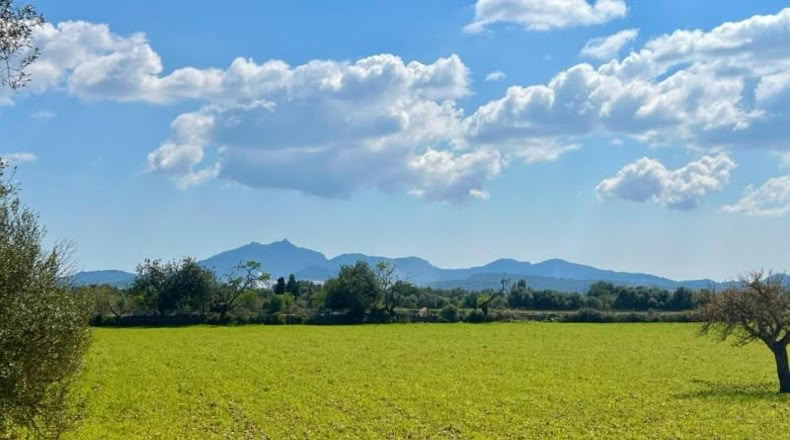 Балеарские острова - Porreres - 14844m2