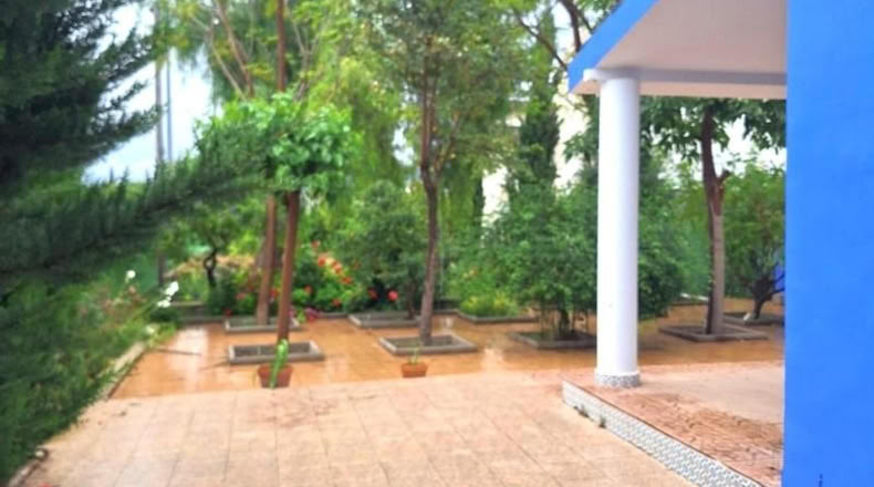 Community of Madrid - Madrid - 1684m2
