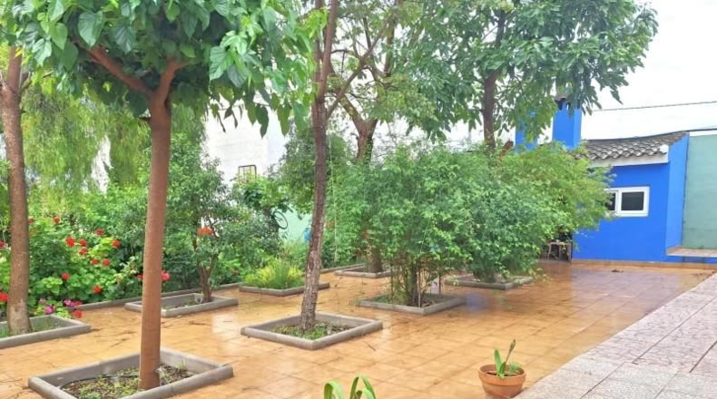 Community of Madrid - Madrid - 1684m2
