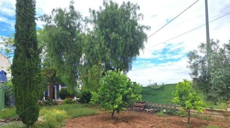 Community of Madrid - Madrid - 1684m2
