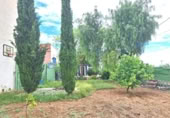 Casa de camp amb terreny en venda a la España, Cartagena, ref.: TR407978 foto