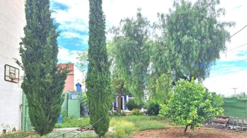 Community of Madrid - Madrid - 1684m2