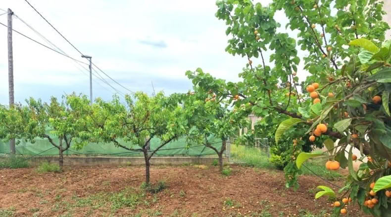 Community of Madrid - Madrid - 1684m2