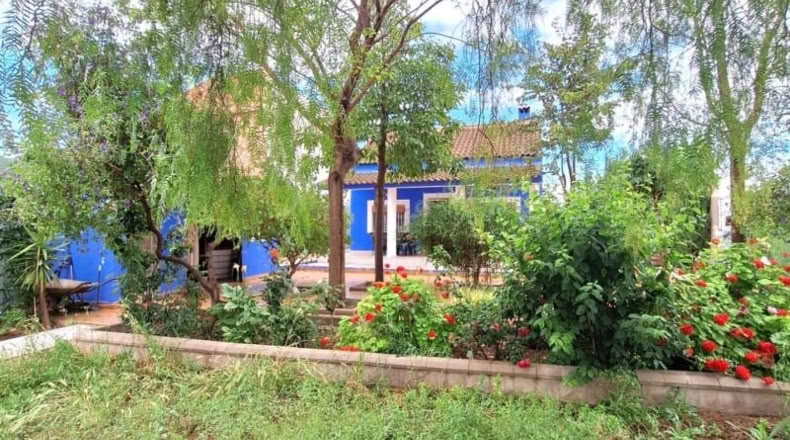 Community of Madrid - Madrid - 1684m2