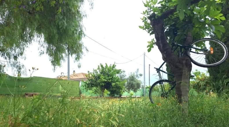 Community of Madrid - Madrid - 1684m2