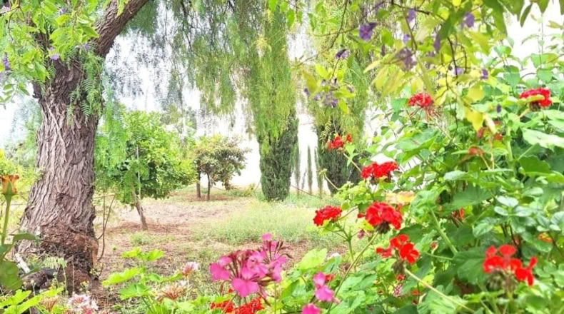 Community of Madrid - Madrid - 1684m2