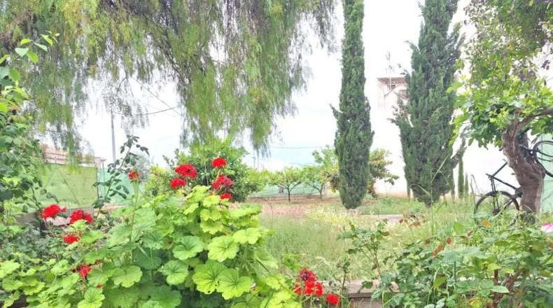 Community of Madrid - Madrid - 1684m2
