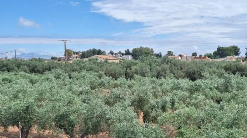 Community of Madrid - Madrid - 1684m2
