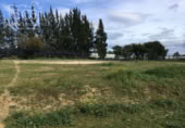 Detached villa with land for sale on España, Almonte, ref: TR226027 photo