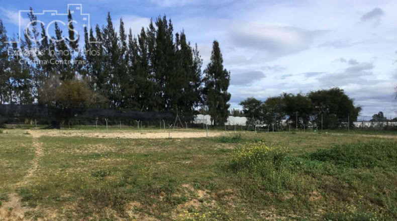 Huelva - Almonte - 12176m2