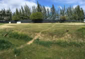 Detached villa with land for sale on España, Almonte, ref: TR226027 photo