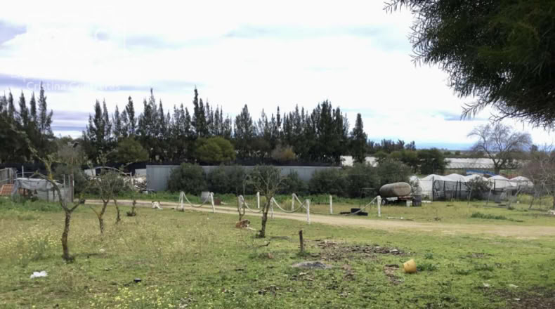 Huelva - Almonte - 12176m2