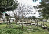 Detached villa with land for sale on España, Almonte, ref: TR226027 photo