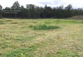 Detached villa with land for sale on España, Almonte, ref: TR226027 photo