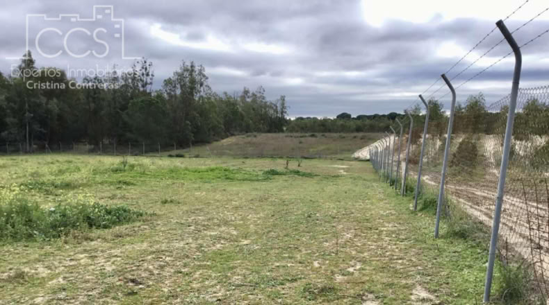 Huelva - Almonte - 12176m2