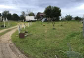 Detached villa with land for sale on España, Almonte, ref: TR226027 photo