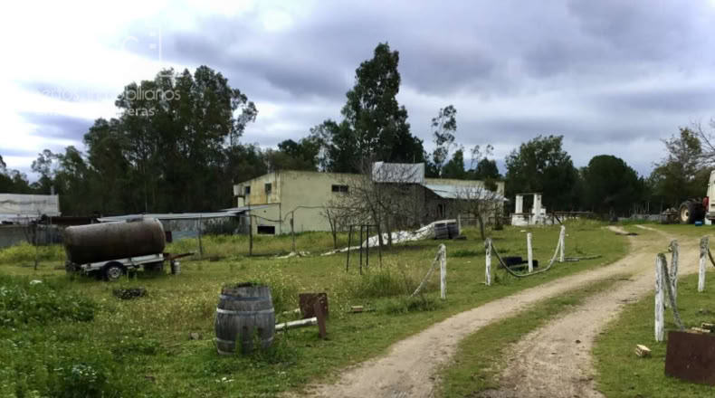 Huelva - Almonte - 12176m2