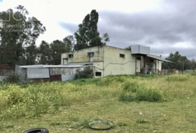 Almonte 12176&nbsp;м²
