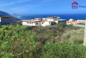 Icod de los Vinos 1280&nbsp;m² 
