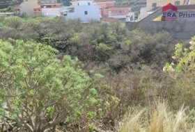 Icod de los Vinos 1280&nbsp;m² 