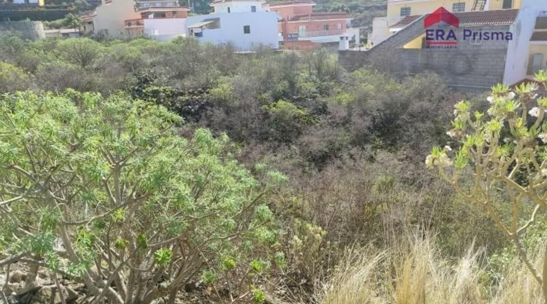 Santa Cruz de Tenerife - Icod de los Vinos - 1280m2