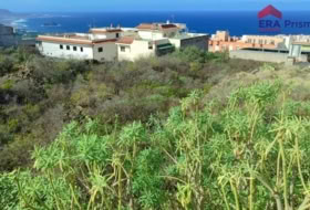 Icod de los Vinos 1280&nbsp;m² 