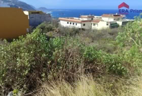 Icod de los Vinos 1280&nbsp;m² 
